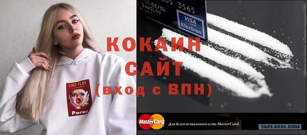 гидра Ельня