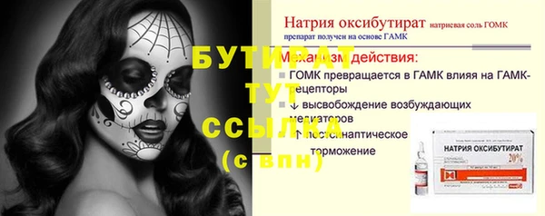 гидра Ельня