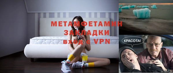 гидра Ельня