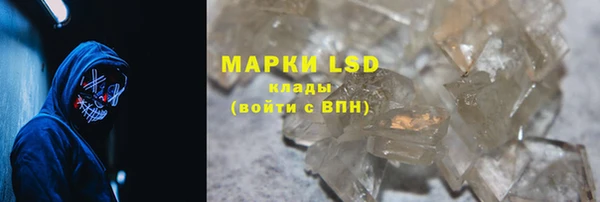 гидра Ельня