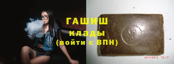 гидра Ельня