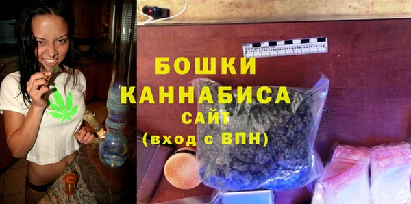 гидра Ельня