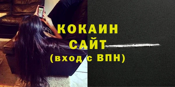 гидра Ельня