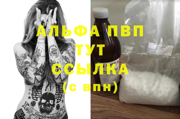 гидра Ельня