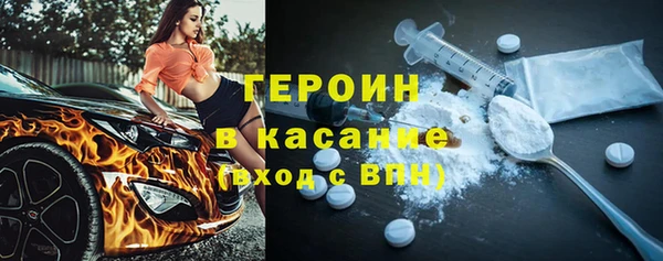 гидра Ельня