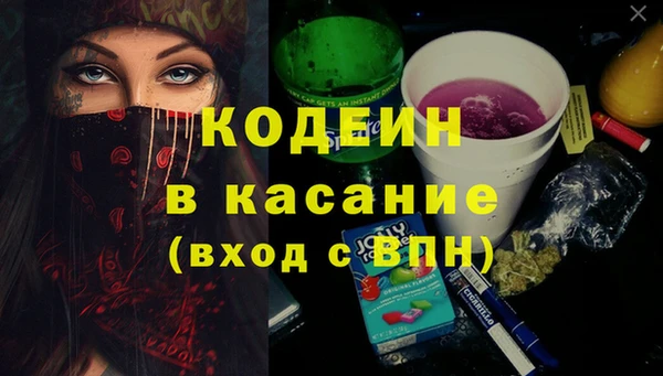 гидра Ельня
