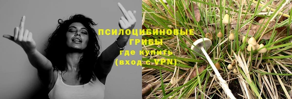 MESCALINE Елизово