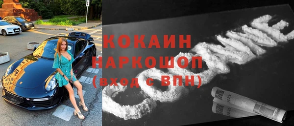 гидра Ельня