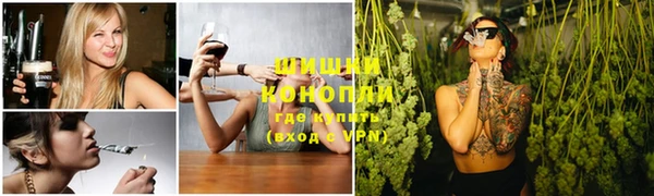 гидра Ельня