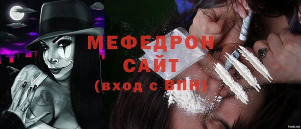 гидра Ельня
