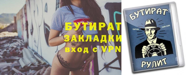 гидра Ельня