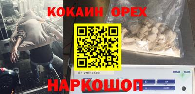 стаф Кунгур