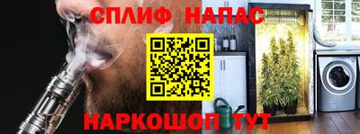 стаф Кунгур
