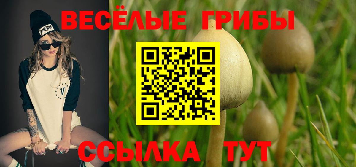 Псилоцибиновые грибы ЛСД Зеленокумск